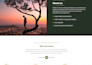 create or duplicate your business website with wordpress, installation included